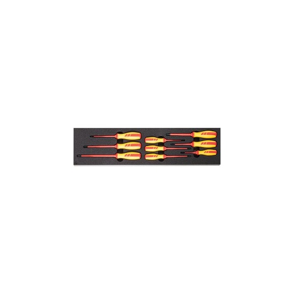 Screwdriver set in Heavy Duty Foam, 9 Pc